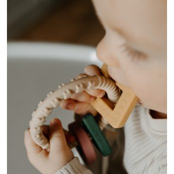 Csörgők és rágókák