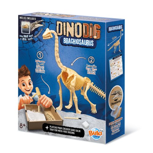 Dínó csontváz felfedező készlet Brachiosaurus BUKI